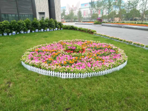 袁隆平博物馆花卉造型